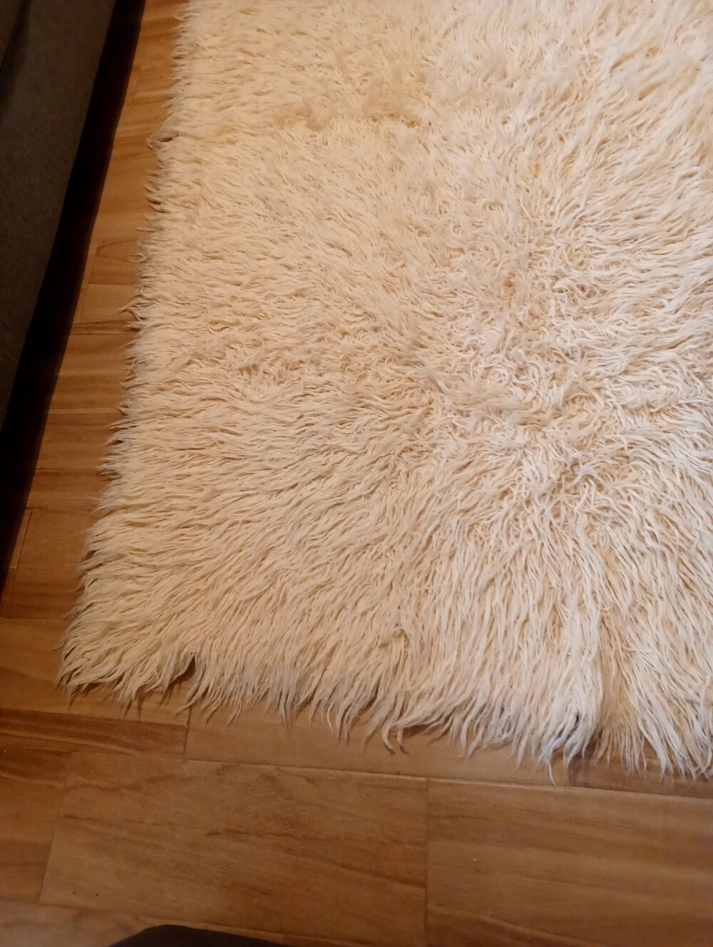 Shaggy Wool Area Rug - Picture 2 of 6